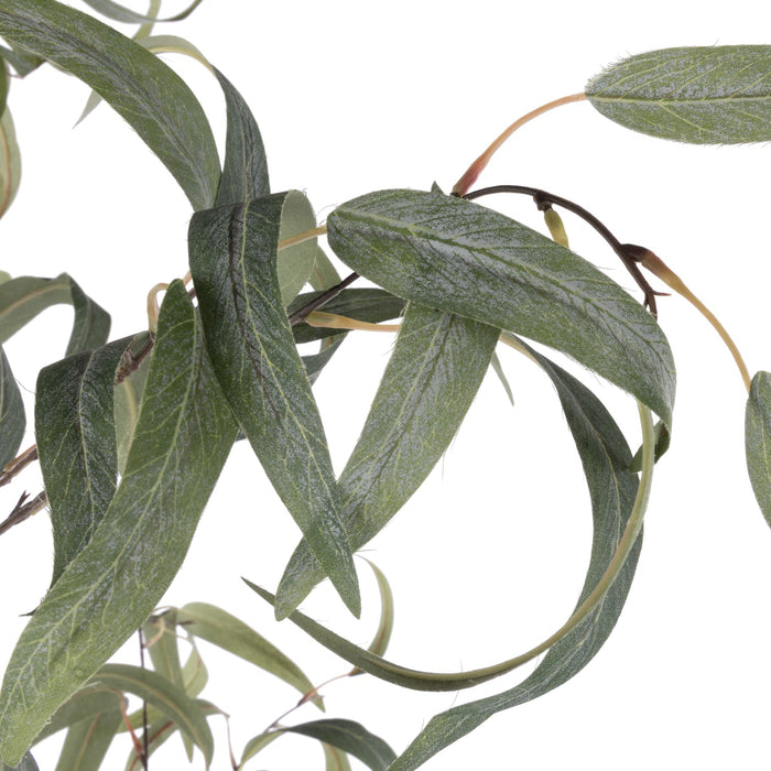 NSIMG-SHA256:b67918309bf9d9d350b908f7fde907fd897dbfcb3e98f5c3482bfbf629df7515 · Isalbi Rogue Eucalyptus Tree - Vienna Planter