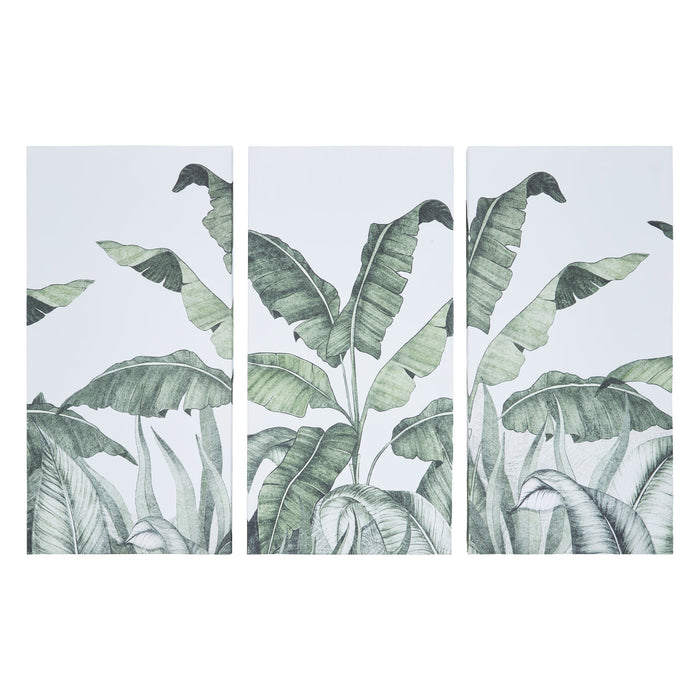NSIMG-SHA256:bcfa988c3048bfd1f0ee0c57c9509ea72bfe7468efc7c20afa65f405c9cf4696 · Isalbi Emporium Palm Leaf Wall Art Set 3pcs Green & White