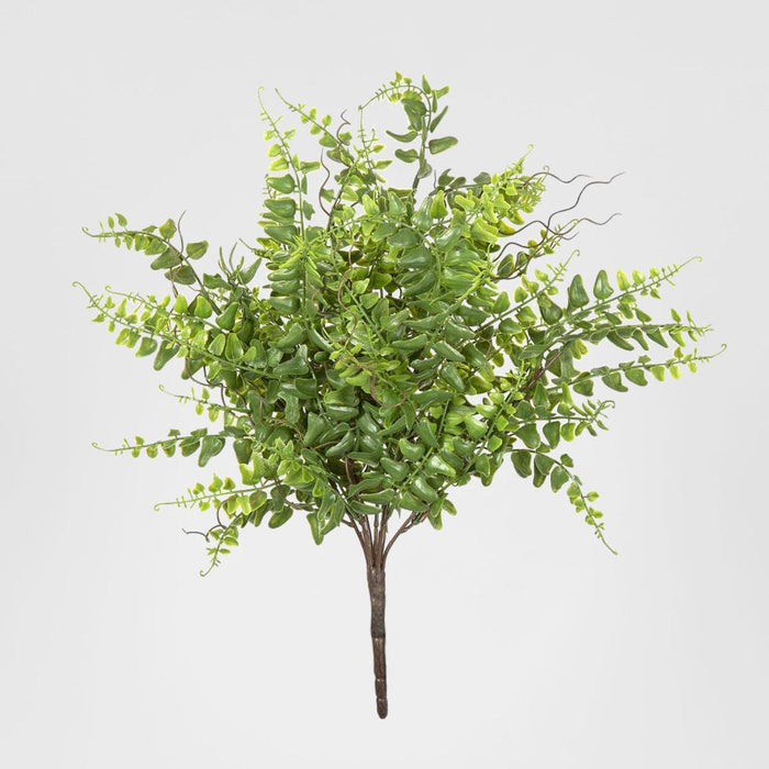 Fern Bush 45cm