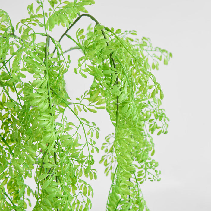Fern Hanging 80cm 6 pcs