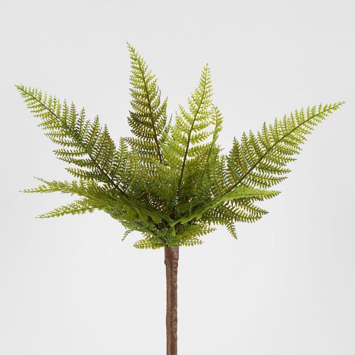 Small Native Fern Green 6 pcs
