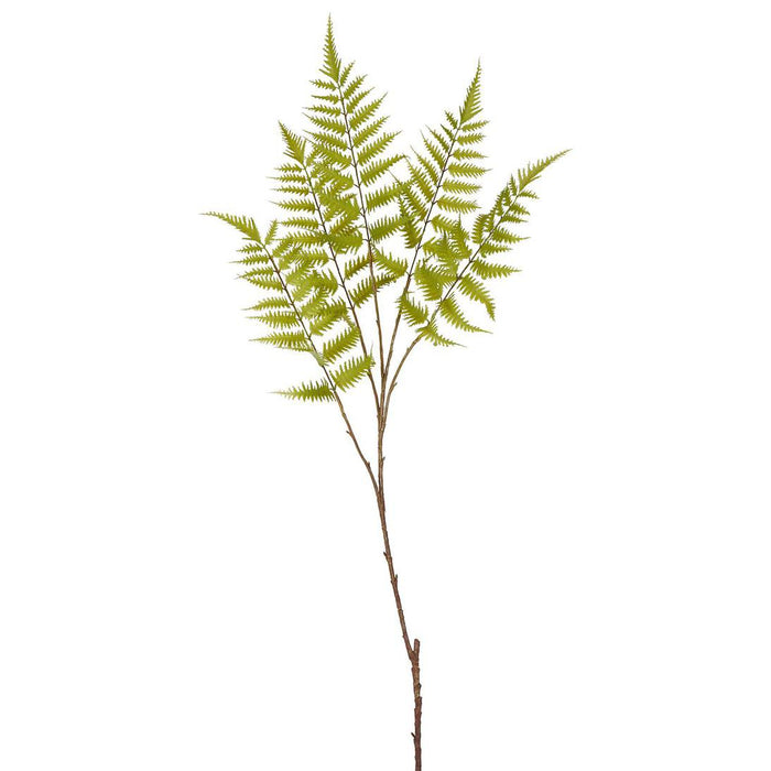 Greenspray Fern Stem 105cm 6 pcs