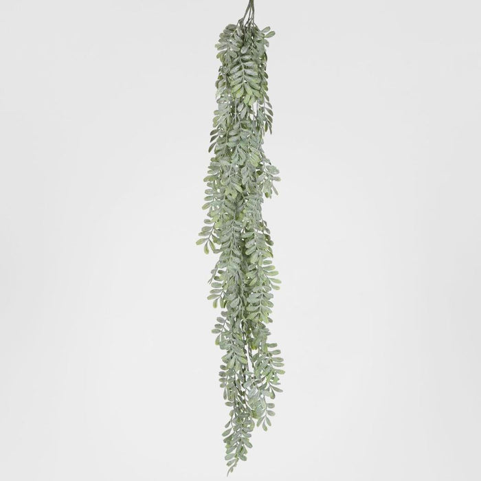 Pepper Fern Hanging Vine 115CM