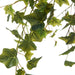 NSIMG-SHA256:6ee883c5281e2115b2c8f8cd90167317bf998aff97da8063ebb594a736b88e37 · Isalbi Rogue Ivy Hanging Bush Green