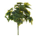 NSIMG-SHA256:161bce510ecba71d670ca83f9f310b3ad13286e6074a7a94e444a88dc9fe0a9a · Isalbi Rogue Ivy Bush Green