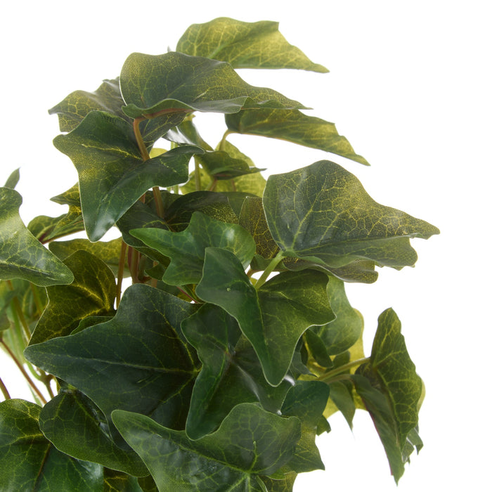 NSIMG-SHA256:b9383455a58cf2896aeb9ace2647b033f933cf617971fbd6b97ef08ddb8d4bfd · Isalbi Rogue Ivy Bush Green
