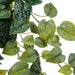 NSIMG-SHA256:0b1ee41ea92b4c7222bc212ff1d95916662892d7d29b141faa6c998ef955ffb7 · Isalbi Rogue Aluminium Hanging Bush Green
