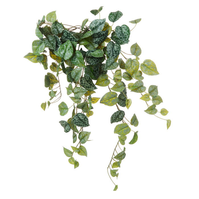 NSIMG-SHA256:373400523df2a617a29fe8f29742574f3e09ed4724dbfcc64f6b1b9fdfd8ad78 · Isalbi Rogue Aluminium Hanging Bush Green