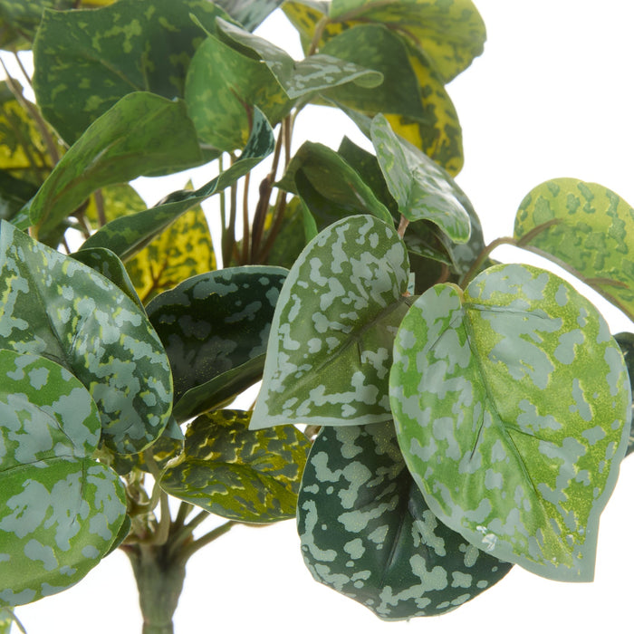 NSIMG-SHA256:498eebcb9d62f54bb56eb72ffdb38943f7a3d5dd7581bbbed31258385e952f4c · Isalbi Rogue Aluminium Bush Green