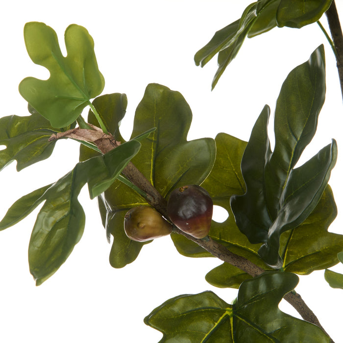NSIMG-SHA256:47c5a87e3ffca33413cf0c32aa59ddf61ccb67cbdcd2148b6a3dc64381407e3c · Isalbi Rogue Fig Spray Green