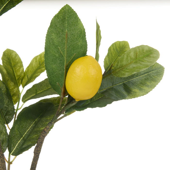 NSIMG-SHA256:3e8832309f4193f5329ac2f6072a8e915ef3508517ad902fe9cd483869a6c02c · Isalbi Rogue Lemon Spray Green