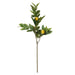 NSIMG-SHA256:bd7830bab96fdf74fa3eb13227e18c8ca31a36a8f3d78e2188294f73828adcd6 · Isalbi Rogue Lemon Spray Green