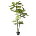 NSIMG-SHA256:3ff829ffdffbd42c9e9cc3f8306664eedeb908758383648dfdded7ba1cac07b1 · Isalbi Rogue Calathea Plant - Garden Pot Green