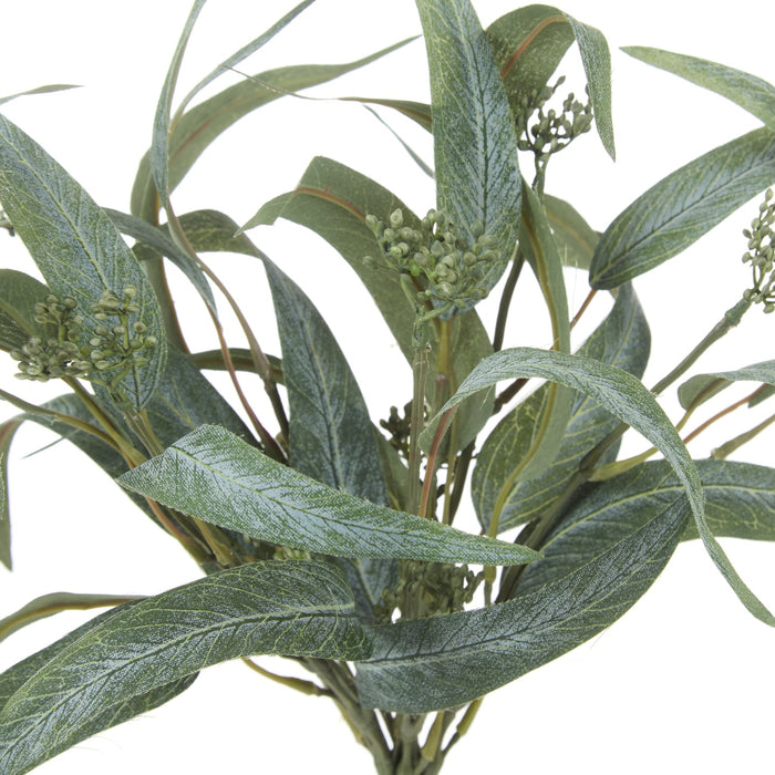 NSIMG-SHA256:502463406632c4d29e691d0c9536444ff935b7928b4290abb2794dc8332cb168 · Isalbi Rogue Eucalyptus Seeding Bunch Green