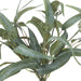 NSIMG-SHA256:502463406632c4d29e691d0c9536444ff935b7928b4290abb2794dc8332cb168 · Isalbi Rogue Eucalyptus Seeding Bunch Green