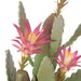 NSIMG-SHA256:f55f8c951da5419d61a415f29025860046153a3a9da583c2f95fc45f7ef89733 · Isalbi Rogue Flowering Cactus - Garden Pot Green