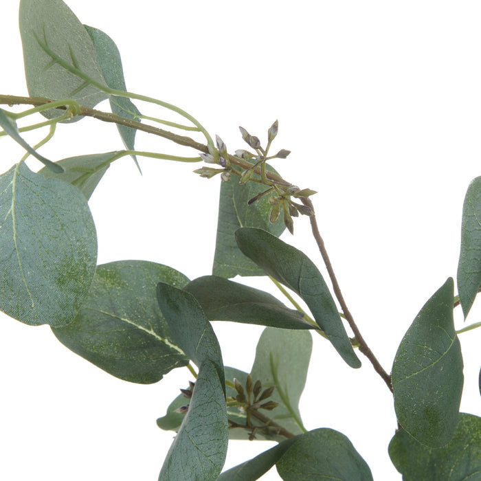 NSIMG-SHA256:83606104501a2d1667884afa6328a42e99a8d4f6cb8b40523a3c6031fd295399 · Isalbi Rogue Eucalyptus Seeded Spray Green