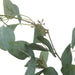 NSIMG-SHA256:83606104501a2d1667884afa6328a42e99a8d4f6cb8b40523a3c6031fd295399 · Isalbi Rogue Eucalyptus Seeded Spray Green