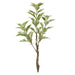 NSIMG-SHA256:de77dcbaf351a98e1fbfae2ef2bc246e5ef920e1392c182e2b3e9657cf7d6634 · Isalbi Rogue Ficus Variegated Spray Green