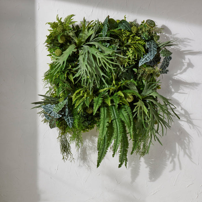 NSIMG-SHA256:07cf09d6494acb03b89b01168dc3def13d65963155218e6e410cf68e11da04f6 · Isalbi Rogue Staghorn Fern Moss Green