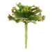 NSIMG-SHA256:fd5b93a4457ec988012848dd1f5ff0521dec99b54bf6a1275fb3afdfc6da7c17 · Isalbi Rogue Cabbage Succulent Green