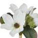 NSIMG-SHA256:4e8528c11c8e6cd0e715405eeaa71561e0ee197dc9f457ab057dc8f618f64e82 · Isalbi Rogue Magnolia Grandiflora Bouquet White