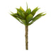 NSIMG-SHA256:c2d4cbcb95ee56e6a3e6c0d260173e48b50eac47aebc12587a9d573b491e8601 · Isalbi Rogue Mini Agave Green