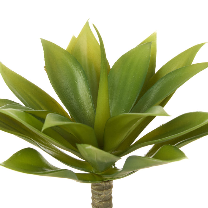 NSIMG-SHA256:29f98c1d685e5eb3251e658c65c8fd258bba9f922ea73b32135e16ed26ddfbf0 · Isalbi Rogue Mini Agave Green