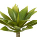 NSIMG-SHA256:29f98c1d685e5eb3251e658c65c8fd258bba9f922ea73b32135e16ed26ddfbf0 · Isalbi Rogue Mini Agave Green
