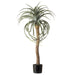 NSIMG-SHA256:ec6de5bf14be26fdd7fafa5547e8bbdc9cb9626b6041f1a978a99f1bd64a8b5b · Isalbi Rogue Aloe Tree Green