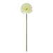 NSIMG-SHA256:17e4780dd2f3101aff014f023c53789d92cc9be1d6e6c3b0480ceef1742071e5 · Isalbi Rogue Kiku Stem Green