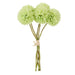NSIMG-SHA256:6cbb256e7acc390833ad6b1e86ae1c0e1be43bc1c9cbc8795e09c6c4395b21aa · Isalbi Rogue Kiku Bunch Green