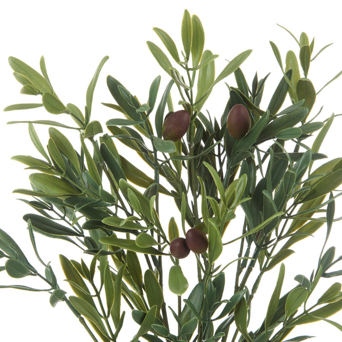 NSIMG-SHA256:37cdb0d165e4f68c4f5edccdaeb383c42939d0b85e3023cc1d62dd5100fb1c37 · Isalbi Rogue Olive Bunch Green