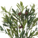 NSIMG-SHA256:37cdb0d165e4f68c4f5edccdaeb383c42939d0b85e3023cc1d62dd5100fb1c37 · Isalbi Rogue Olive Bunch Green