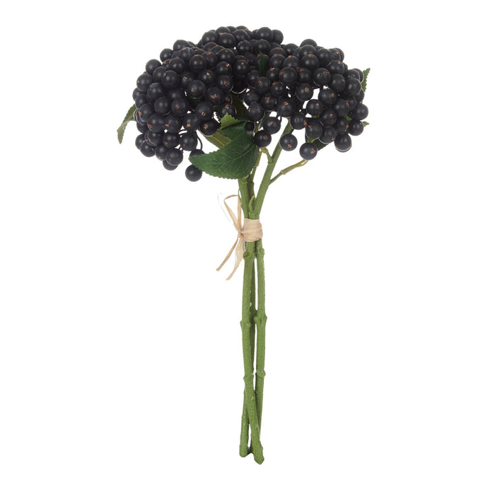 NSIMG-SHA256:39ab34f748980db676c8e623500f79ad064326ebef455f941657a0894db1f561 · Isalbi Rogue Blueberry Bunch Purple