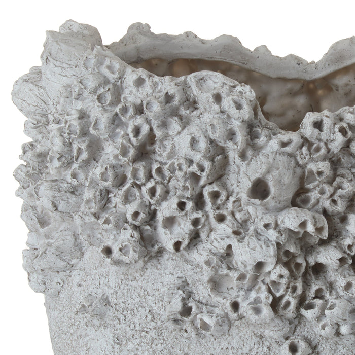 NSIMG-SHA256:ef8fb1acf0a8c886caf69ff9f6d50649834e73fd0eab9b6cbf0cf25fdb3f4998 · Isalbi Amalfi Primrose Vessel Antique White