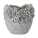 NSIMG-SHA256:026c89f94e416f4120607ad45a30e17ac2d8cb1f5907d5b7ddcf40fcc168eb90 · Isalbi Amalfi Primrose Vessel Antique White