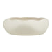 NSIMG-SHA256:3b48c3416efa225e3adf23eb4bd4a33c6ccdf7ed2a6ed6cebc4865461c942901 · Isalbi Rogue Lyon Organic Bowl Planter Natural