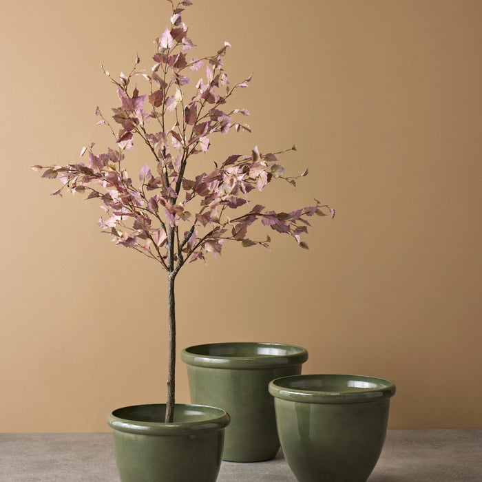 NSIMG-SHA256:1a993b444d5dcbdb66bf131c31f914607699fe93f65f486db9c62cd8fc1ecec0 · Isalbi Rogue Milan Glaze Look Planter 3pcs Set Green