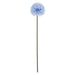 NSIMG-SHA256:b7261b446518799291468fc00cdcc541a67ed5bd5d45bf00ca5ac485e5278730 · Isalbi Rogue Kiku Stem Blue