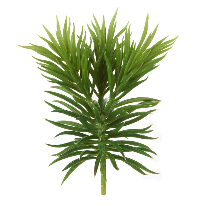 NSIMG-SHA256:509f01b08e32d0d19d636e73ed0d3ff26aaf93763f454cf3e5bd8e4ad2afa00a · Isalbi Rogue Mini Pine Tree Green