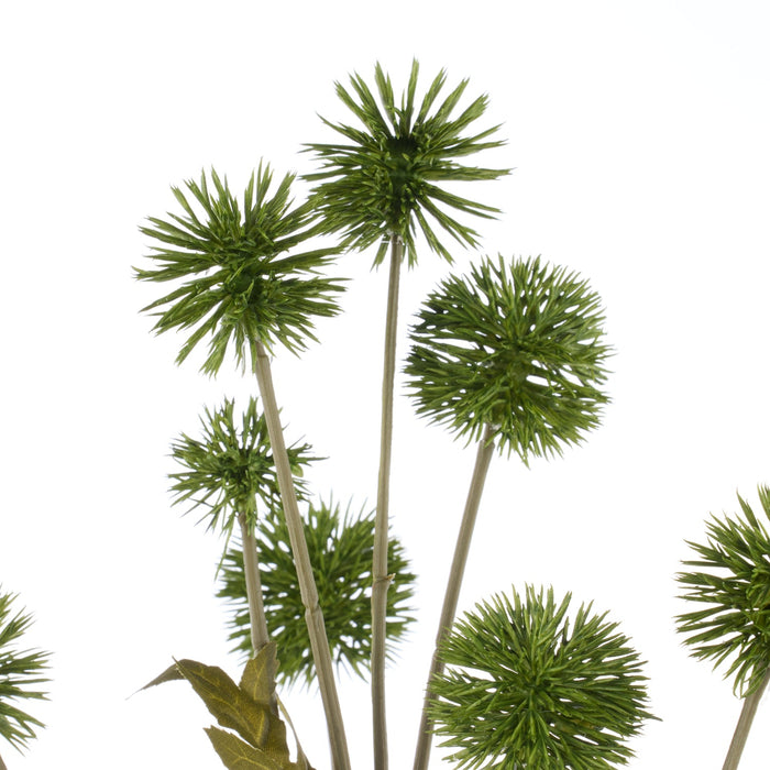 NSIMG-SHA256:1d3d038d01770a46c64f68ac5873a34b18506fcef87430c364cac148411cbc75 · Isalbi Rogue Pompom Spray Green