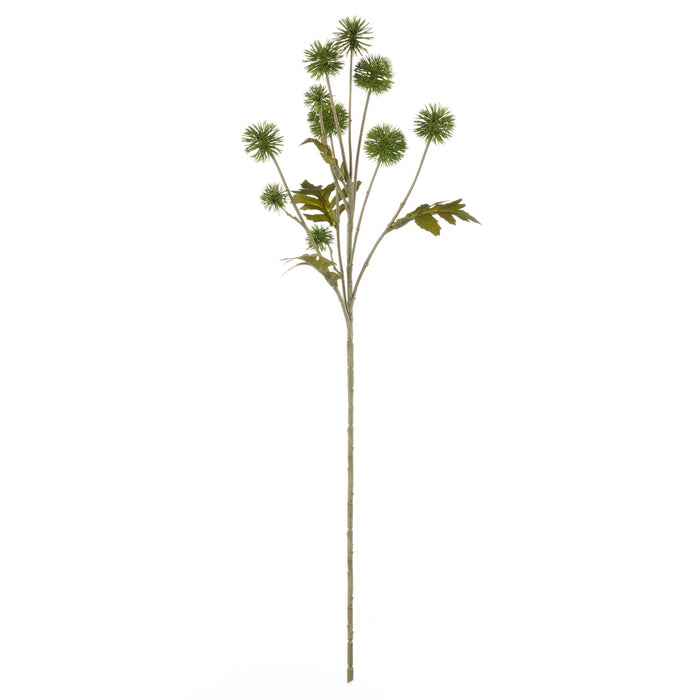 NSIMG-SHA256:bdf760be6ea17e57181340e8f19c9071e0e8d88c52e4a8b8aa9f5faed3ce155f · Isalbi Rogue Pompom Spray Green