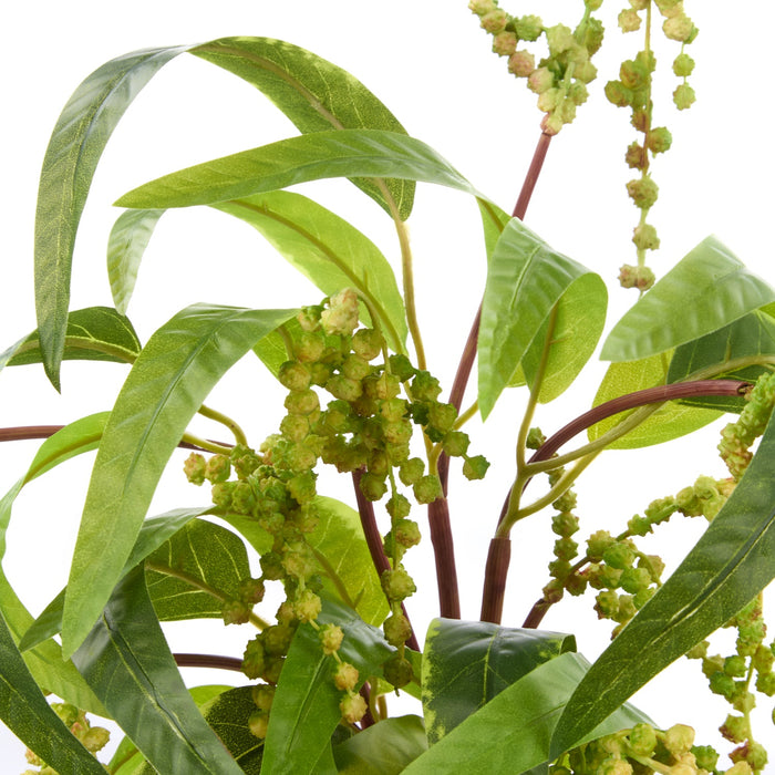 NSIMG-SHA256:b1cc311f2ec7722d46dfa47742c2816062b11c58fbb374028fd8447c0b9d61fe · Isalbi Rogue Golden Wattle Bunch Green & Yellow