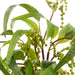 NSIMG-SHA256:b1cc311f2ec7722d46dfa47742c2816062b11c58fbb374028fd8447c0b9d61fe · Isalbi Rogue Golden Wattle Bunch Green & Yellow