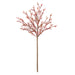 NSIMG-SHA256:fb01607dea28743835fd1108b7e99c71ca691c56527db713e6d49d72f1fad60e · Isalbi Rogue Salicornia Branch Red