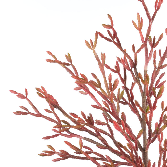 NSIMG-SHA256:24269371263f03a12b50ec405cd58a30a56670cb62bb7ea94ca31a7372024aa7 · Isalbi Rogue Salicornia Branch Red
