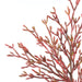 NSIMG-SHA256:24269371263f03a12b50ec405cd58a30a56670cb62bb7ea94ca31a7372024aa7 · Isalbi Rogue Salicornia Branch Red