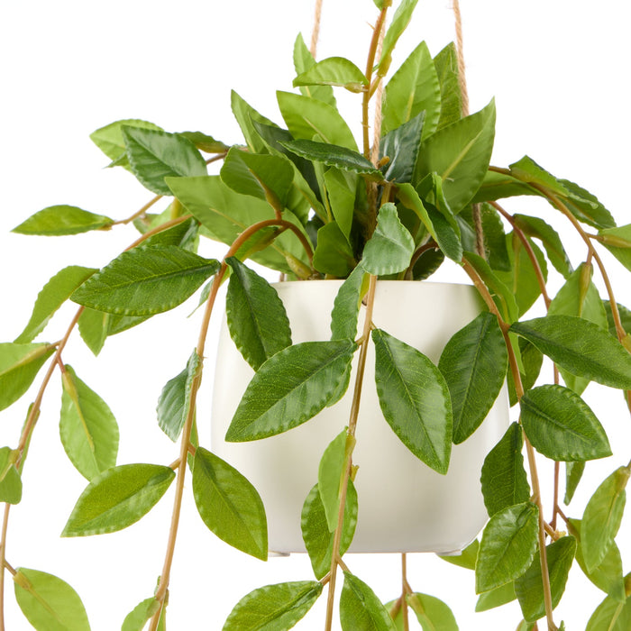 NSIMG-SHA256:57c889374b7e04d93be018b3cfb041d4431e1f253aa3da7ae247a3a37154c24f · Isalbi Rogue Lush Leaf Hanging Pot Green