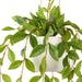 NSIMG-SHA256:57c889374b7e04d93be018b3cfb041d4431e1f253aa3da7ae247a3a37154c24f · Isalbi Rogue Lush Leaf Hanging Pot Green